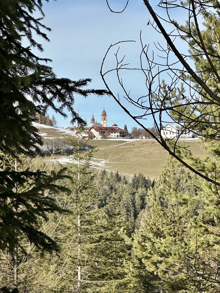 Sentiero n. 2 da Pietralba a Malga Monte San Pietro - veduta di Pietralba.