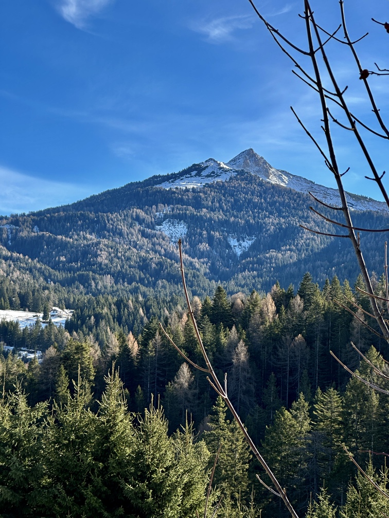 Sentiero n. 2 da Pietralba a Malga Monte San Pietro - veduta su Corno Bianco e, dietro, Corno Nero.