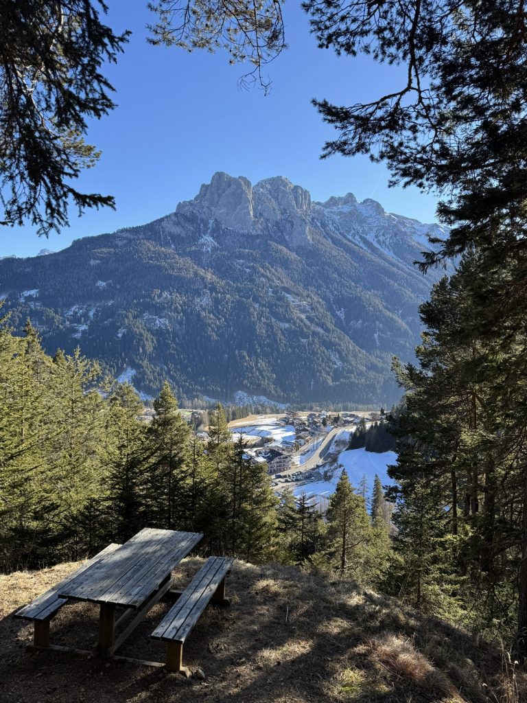 Sentiero n. 31 vergo Vigo - veduta sul gruppo dei Monzoni.