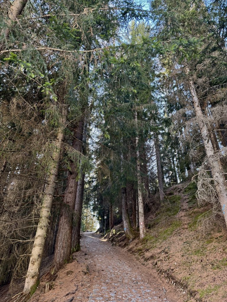 Sentiero verso la Chiesa di Sant'Uliana.