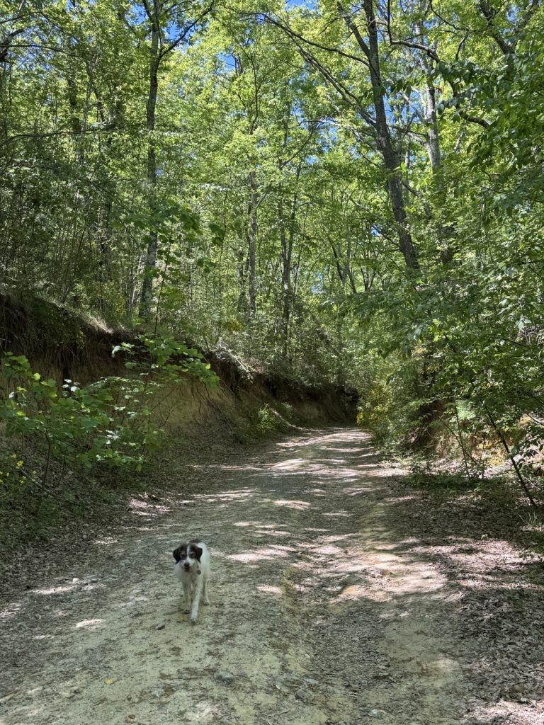 Riserva Naturale di Castelvecchio - sentiero Dolce Campagna, Antiche Mura (n. 18).