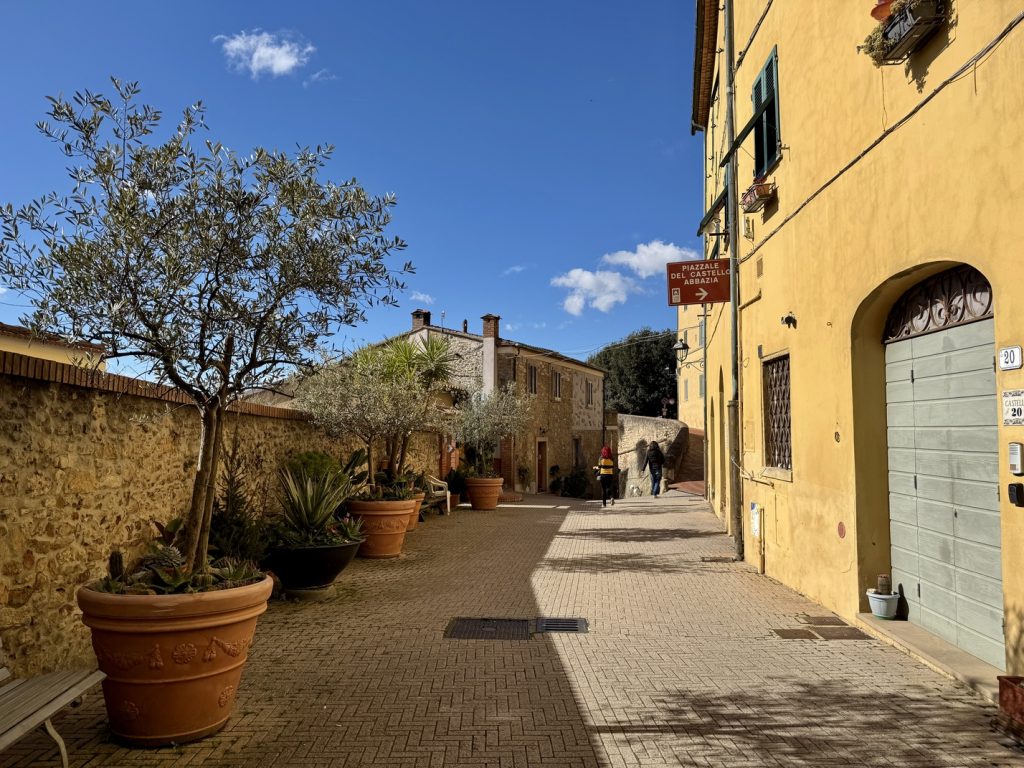 Montescudaio - strada del centro.