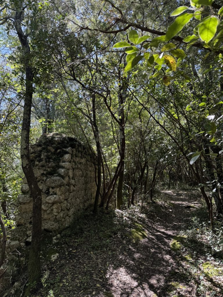 Castelvecchio - area archeologica: resti di mura.