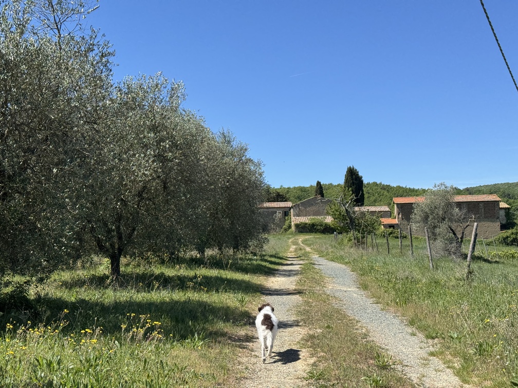 Riserva Naturale di Castelvecchio - Campore.