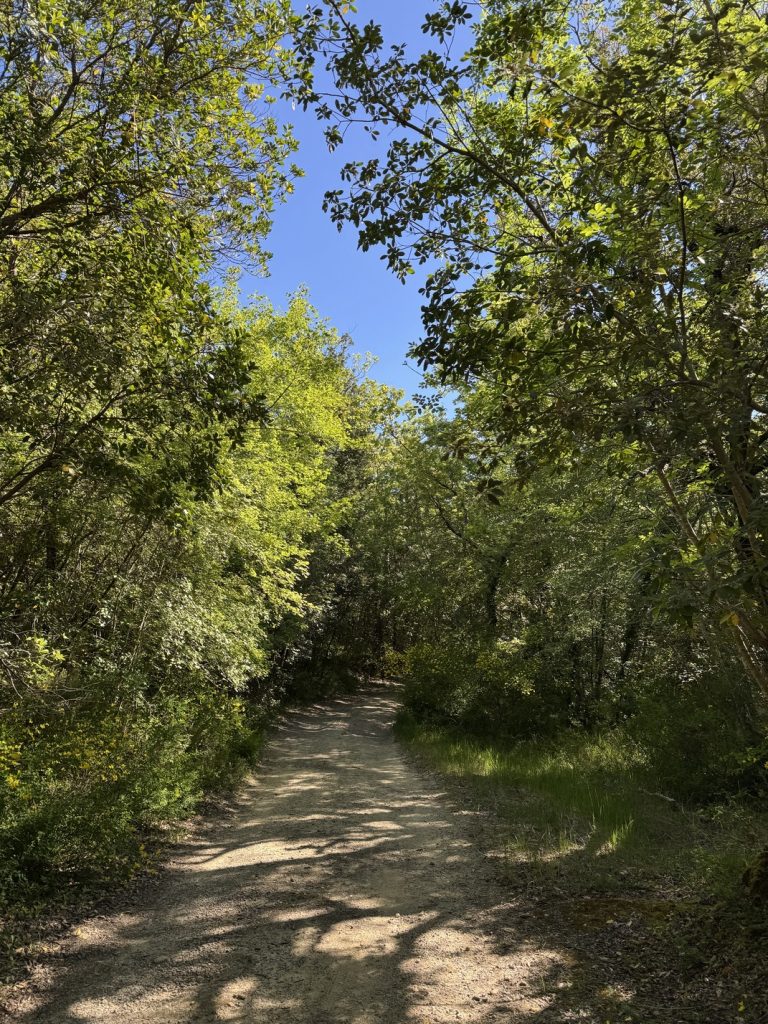 Riserva Naturale di Castelvecchio - sentiero n. 201.