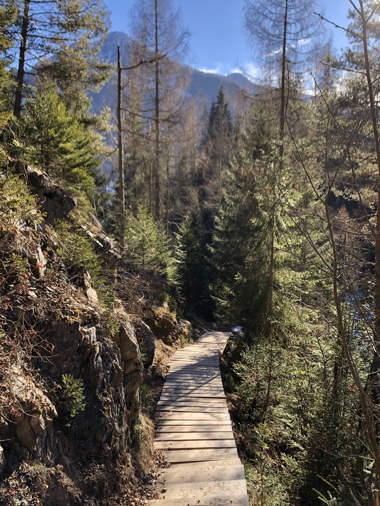 Moena - sentiero verso Malga Roncac.