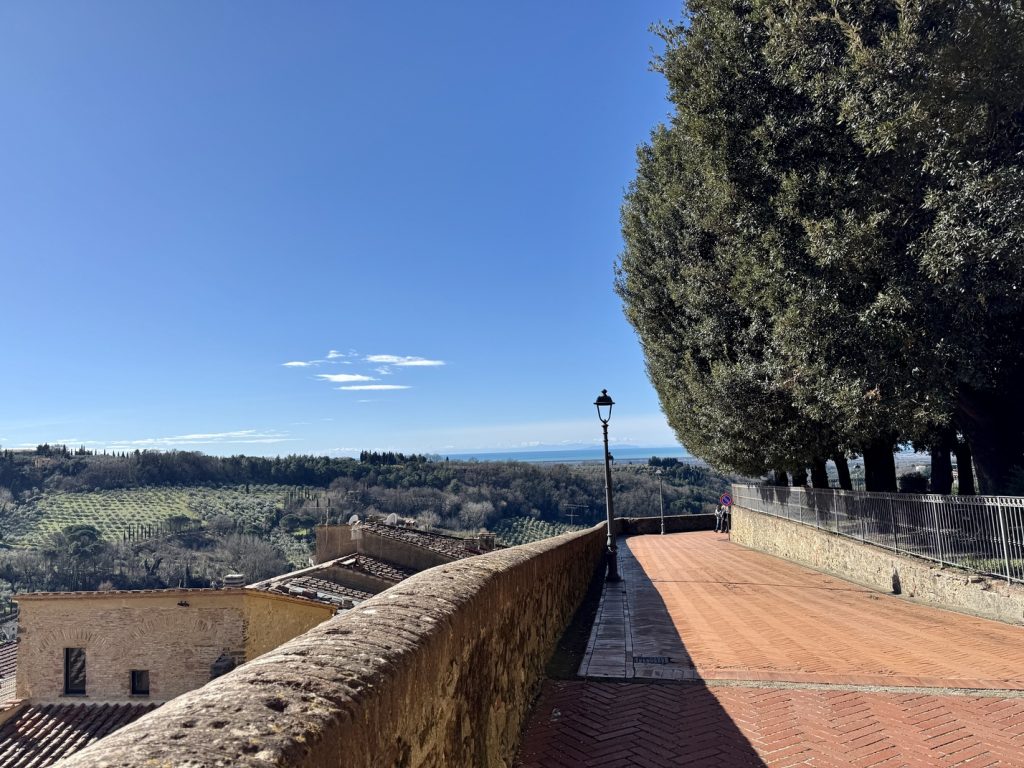 Montescudaio - terrazza panoramica.