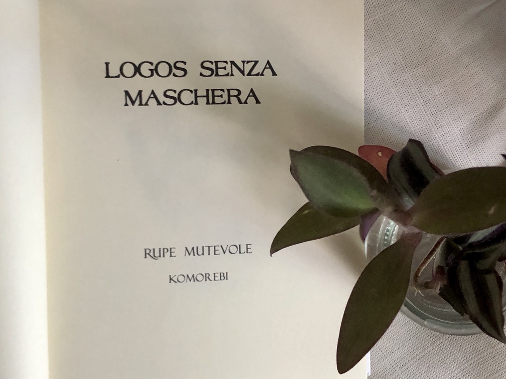 Maha Norouzi, "Logos senza maschera", Rupe Mutevole, Parma, 2025.