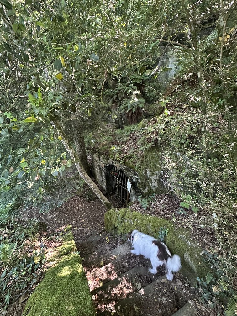 Monte Senario - Grotta di San Manetto.