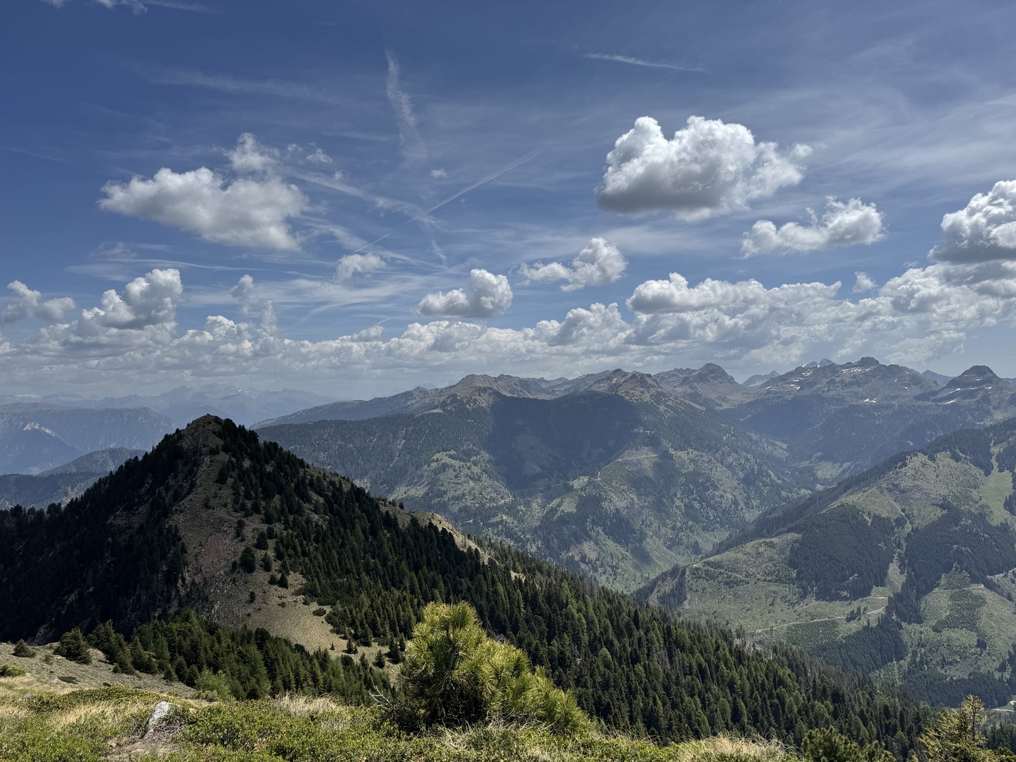 Pala della Madonna - cime del Lagorai e Marmolada.