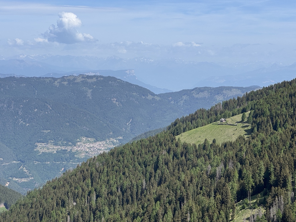 Sentiero in salita verso Pala della Madonna - veduta di Malga Coston e Capriana.