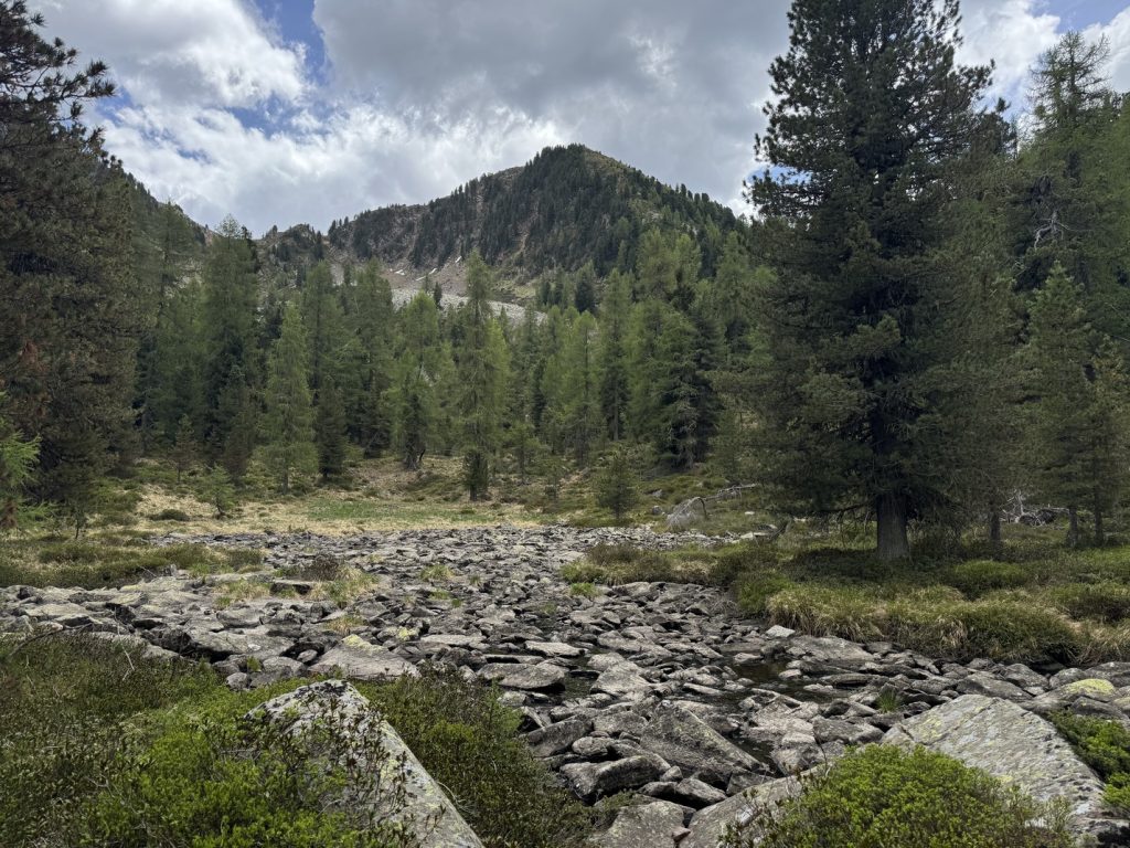 Prati Fioriti - Lago delle Laste.