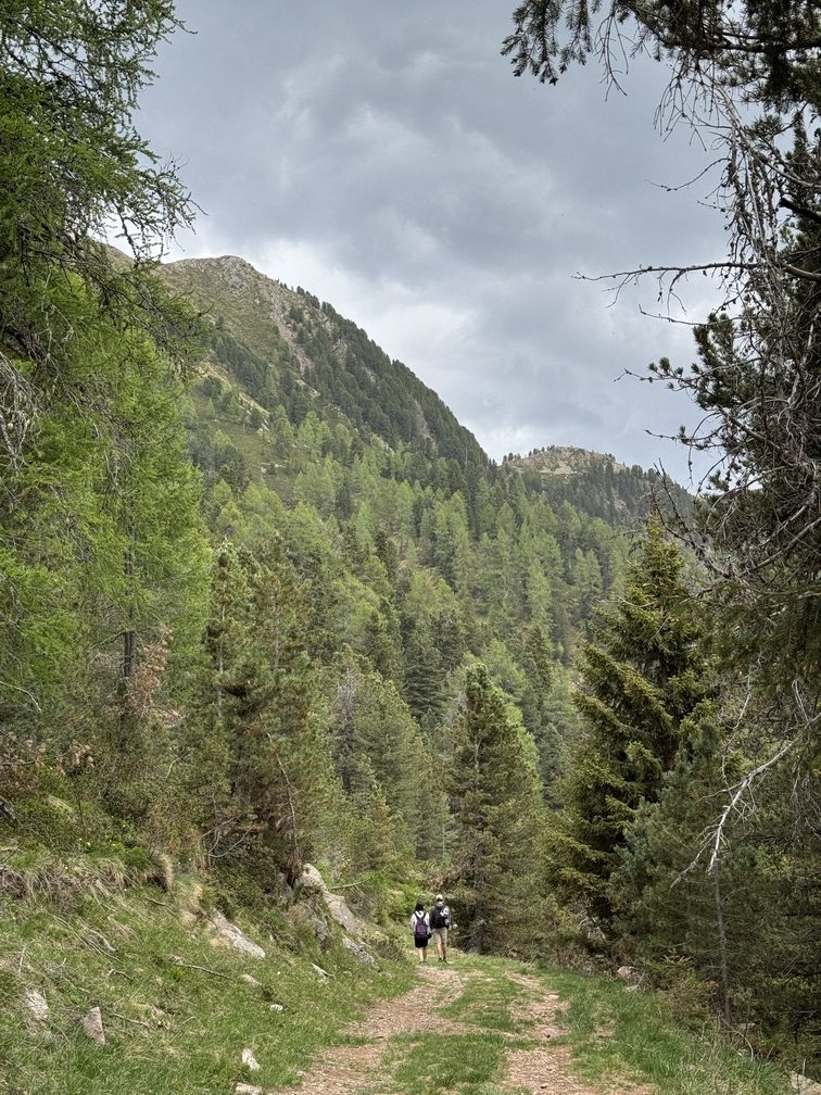 Prati Fioriti - sentiero naturalistico verso Malga Sass.