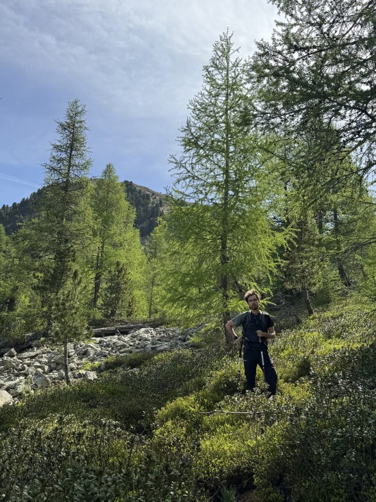 Sentiero in salita verso Pala della Madonna.