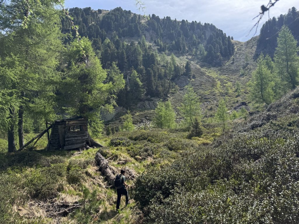 Sentiero in salita verso Pala della Madonna.