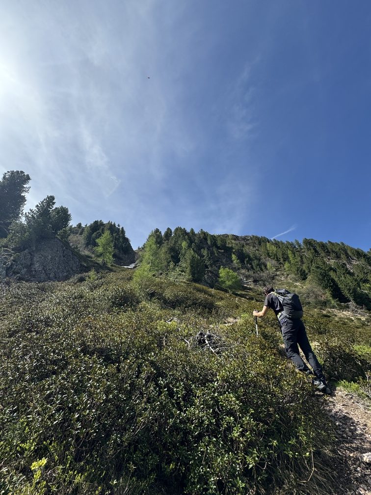 Sentiero in salita verso Pala della Madonna.