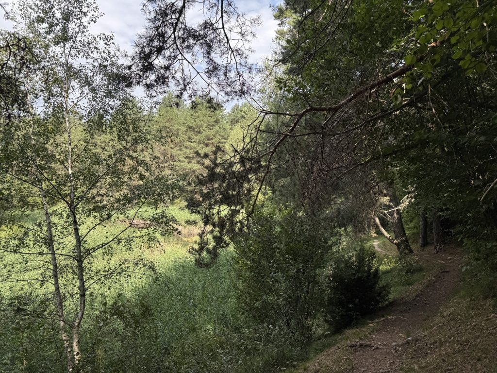 Biotopo del Brozin - Lago del Brozin.