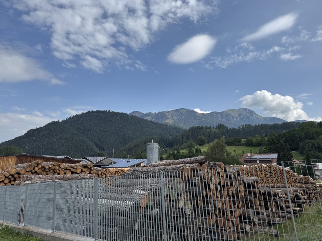 Biotopo del Brozin - località Vecchia Stazione - segheria La Primula.