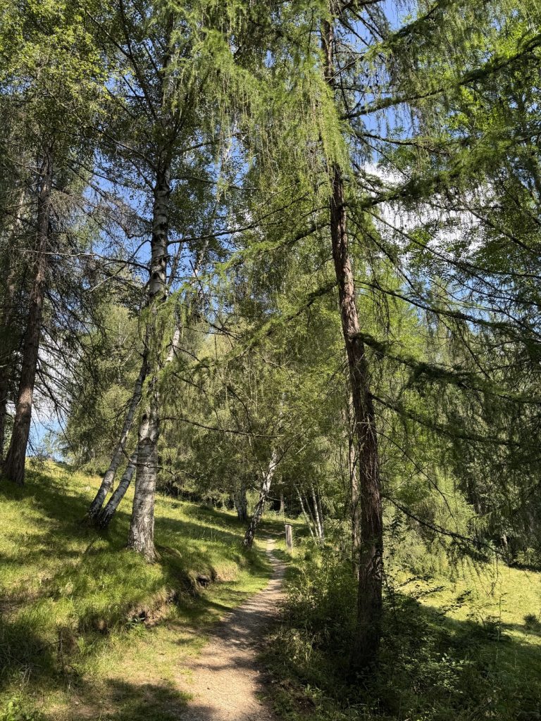 Villaggio Veronza - Sentiero di San Francesco.