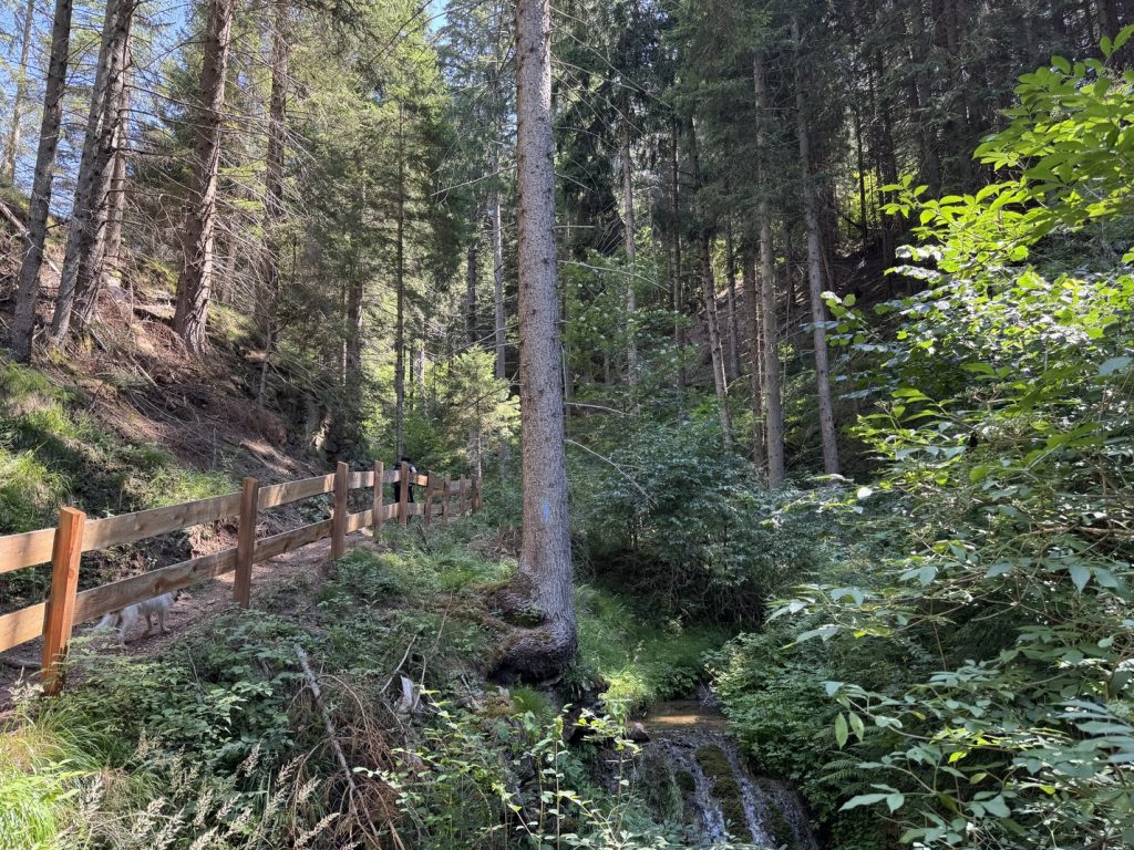 Sentiero delle Cascatelle - ponti in legno e cascate sul Rio Calvello.