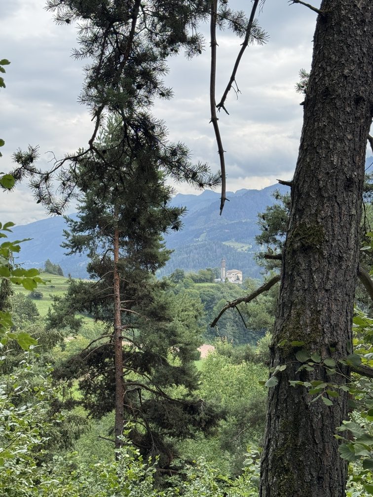 Biotopo del Brozin - veduta di Castello di Fiemme.
