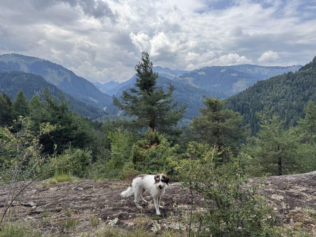Biotopo del Brozin - panorama sulla Val Cadino.