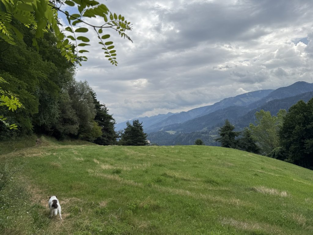 Biotopo del Brozin - panorama sulla catena del Lagorai.