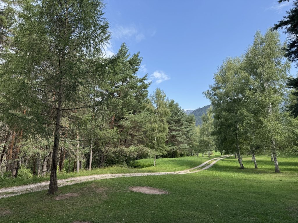 Biotopo del Brozin - prato intorno al lago.