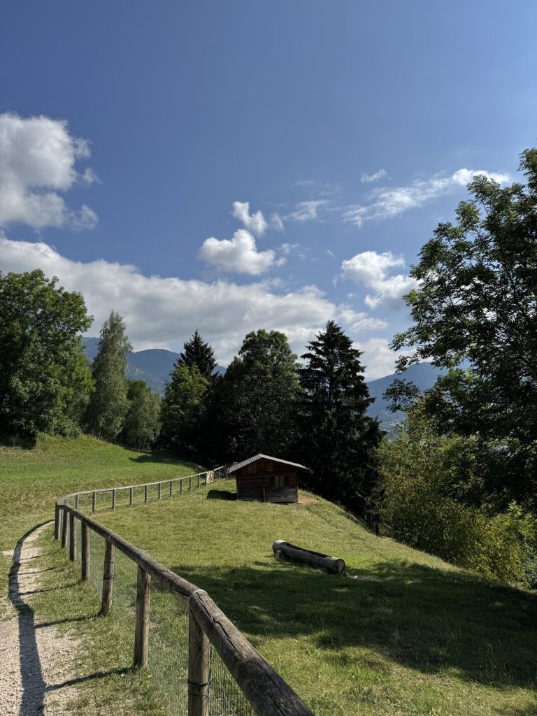 Villaggio Veronza - recinto della piccola fattoria.