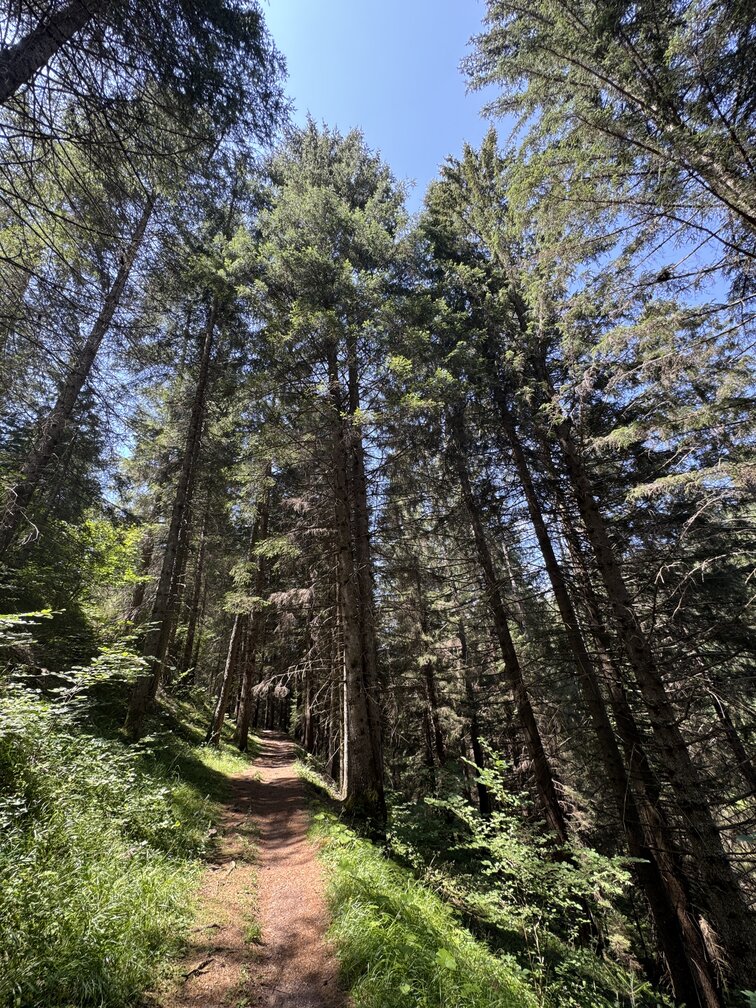Sentiero di rientro verso la strada asfaltata.