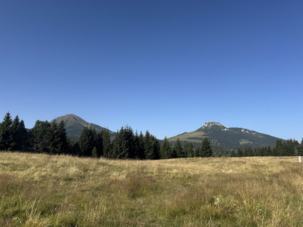 Sentiero n. 9 a Lavazè - veduta su Corno Nero e Corno Bianco.