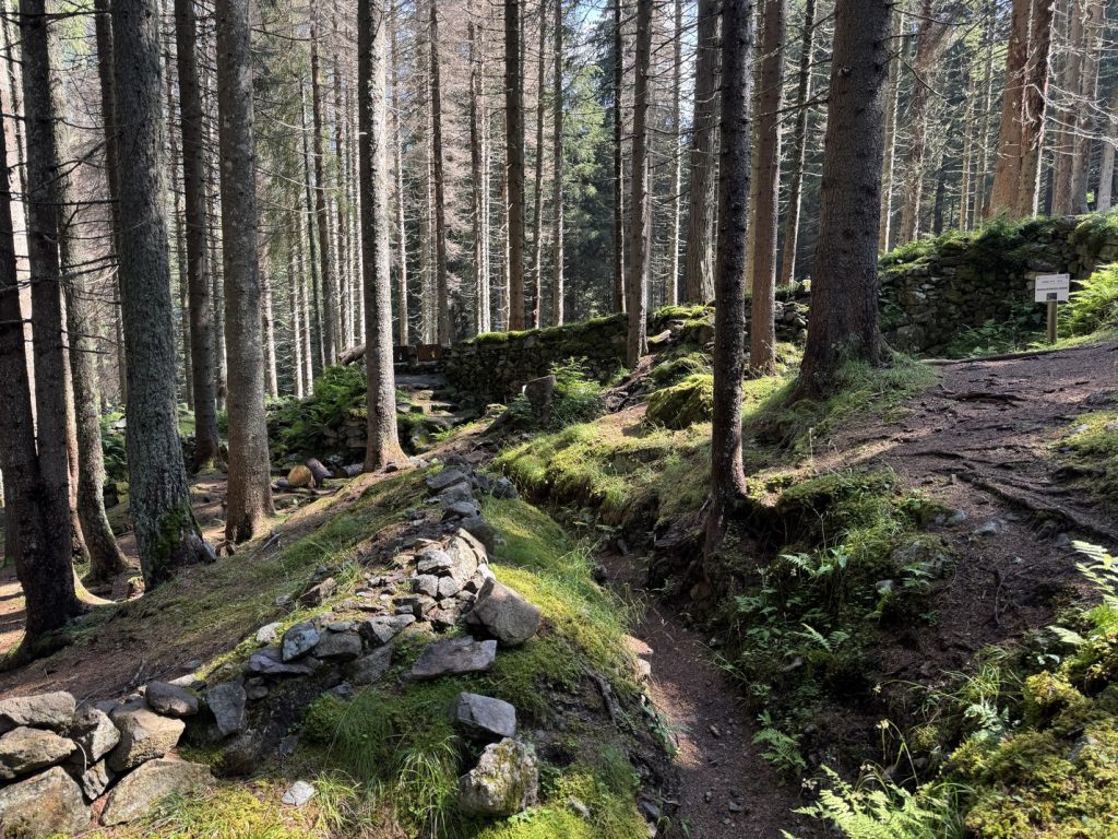Fango - Campo trincerato A - trincee e postazione mitragliatrice.