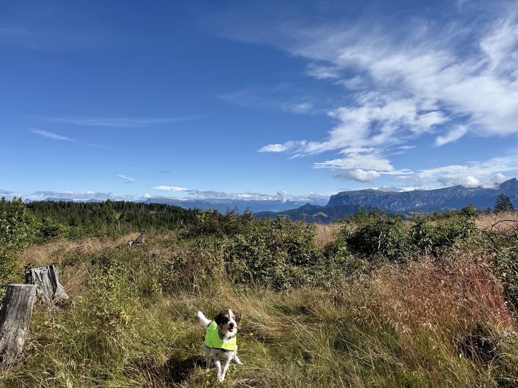 Sentiero n. 9 a Lavazè - panorama su Catinaccio e oltre.