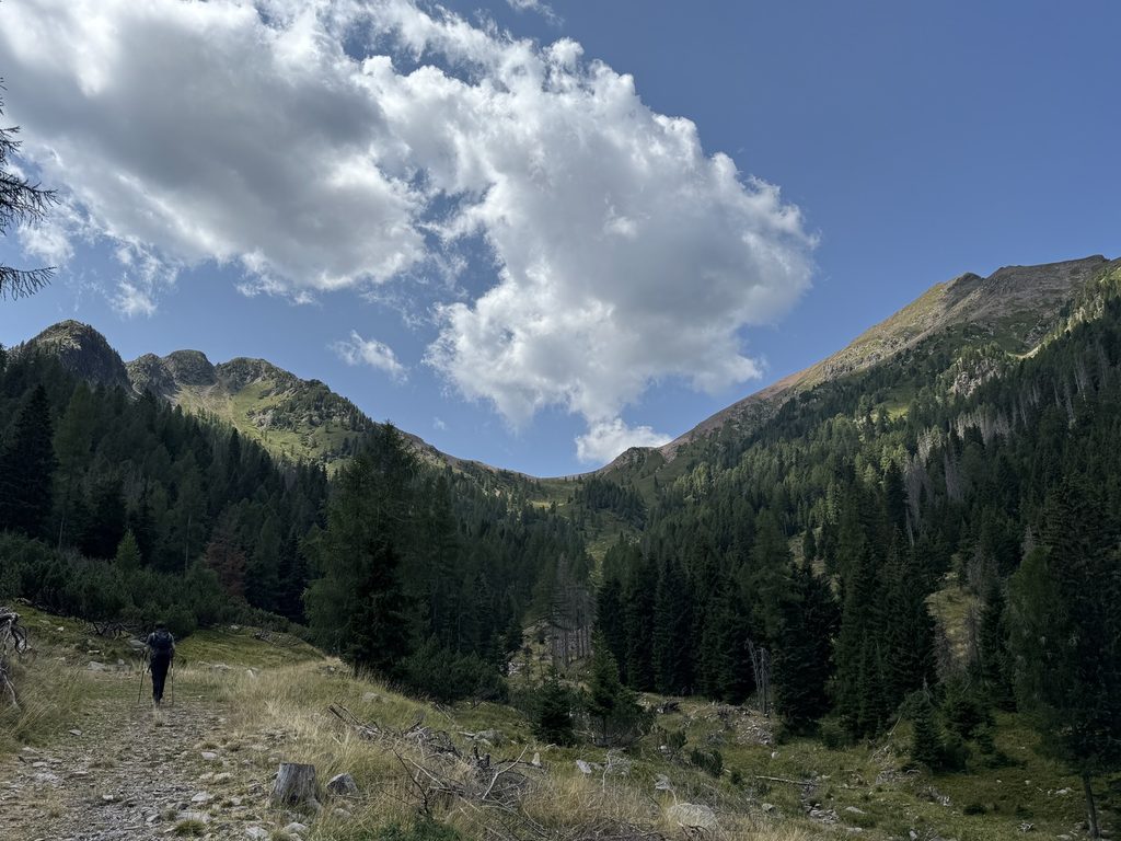 Sentiero n. 314 - da Malga Agnelezza verso Passo Cadin - veduta su Cima Bolénga e Monte Croce.