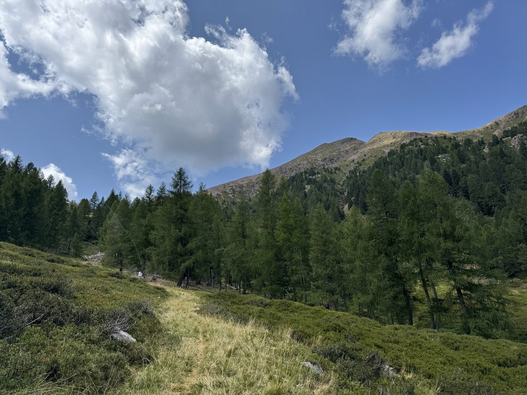 Sentiero n. 314 - da Malga Agnelezza verso Passo Cadin - veduta su Monte Croce.