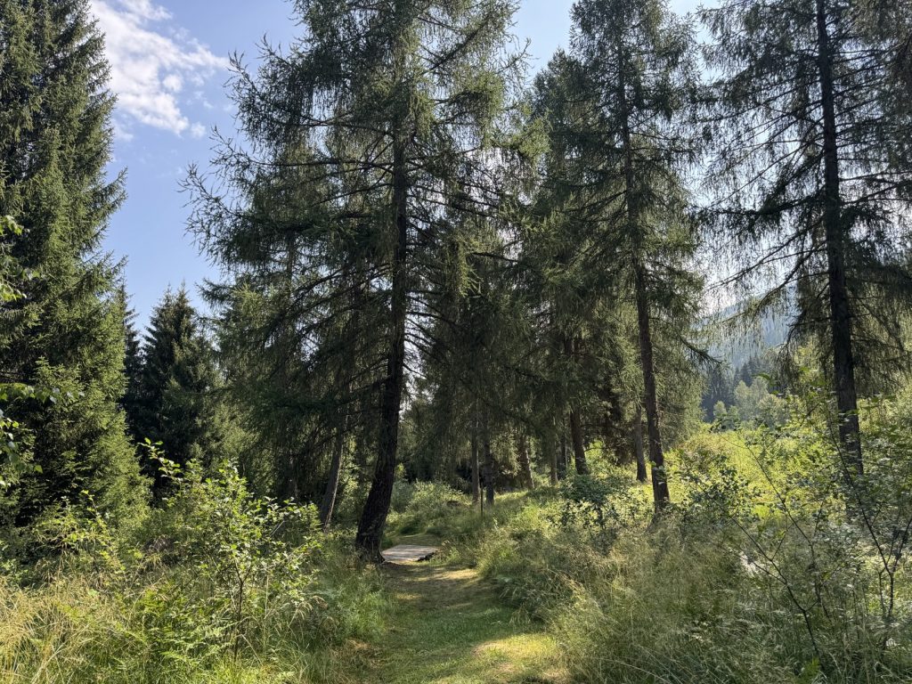 Sentiero "Busa Prima" - ponticello.