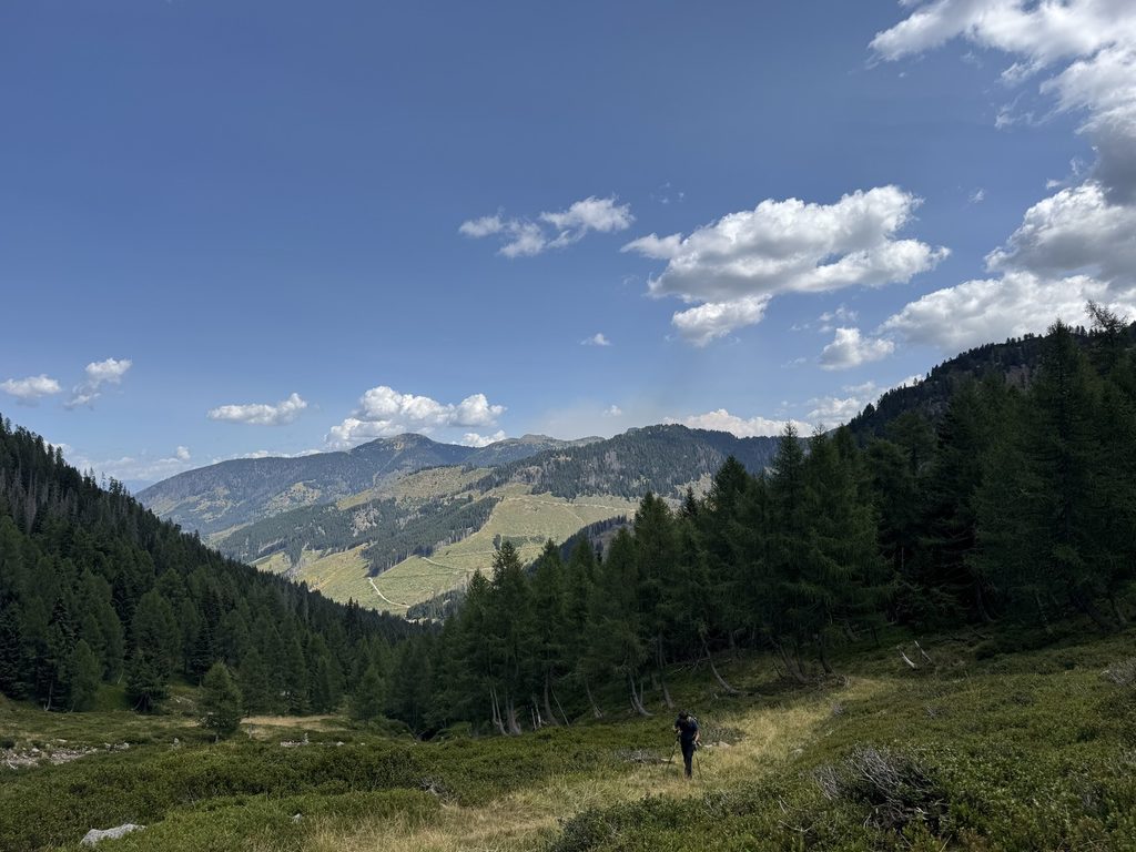 Sentiero n. 314 - da Malga Agnelezza verso Passo Cadin - veduta su Lagorai (Cima Inferno e Cimon di Val Moena).