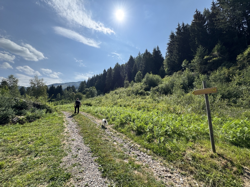 Sentiero "Busa Prima" - verso la baita.