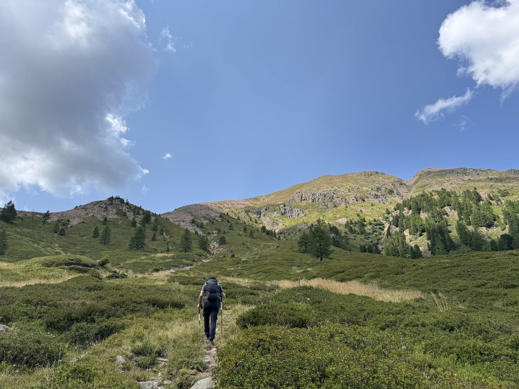 Sentiero n. 314 - da Malga Agnelezza verso Passo Cadin - veduta verso Monte Croce.