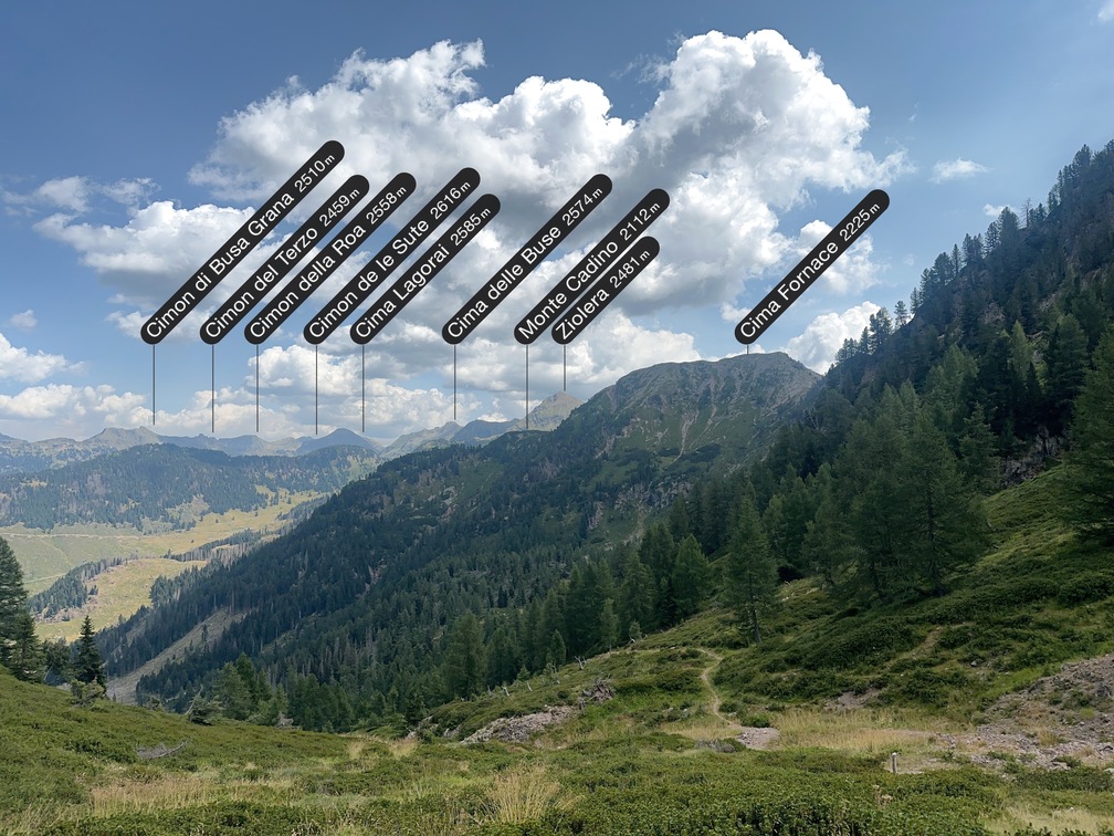 Sentiero n. 314 - da Malga Agnelezza verso Passo Cadin - veduta verso Val di Fiemme e Cima Fornace (app: PeakFinder).