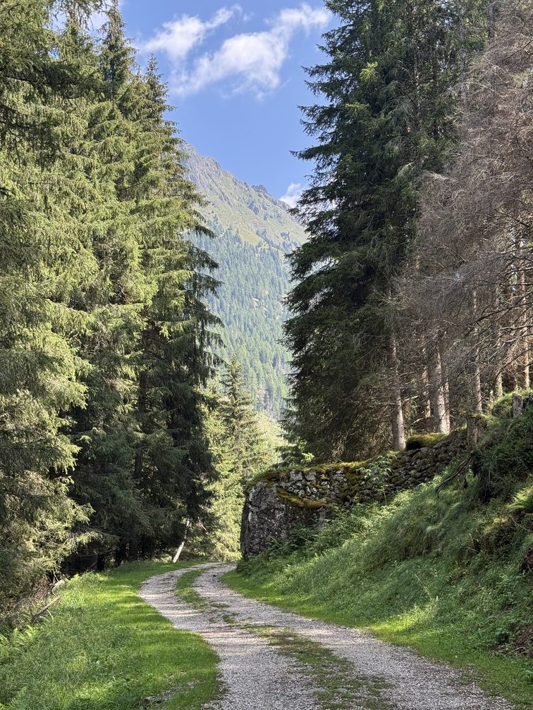Fango - Campo trincerato A - rientro lungo la strada forestale.