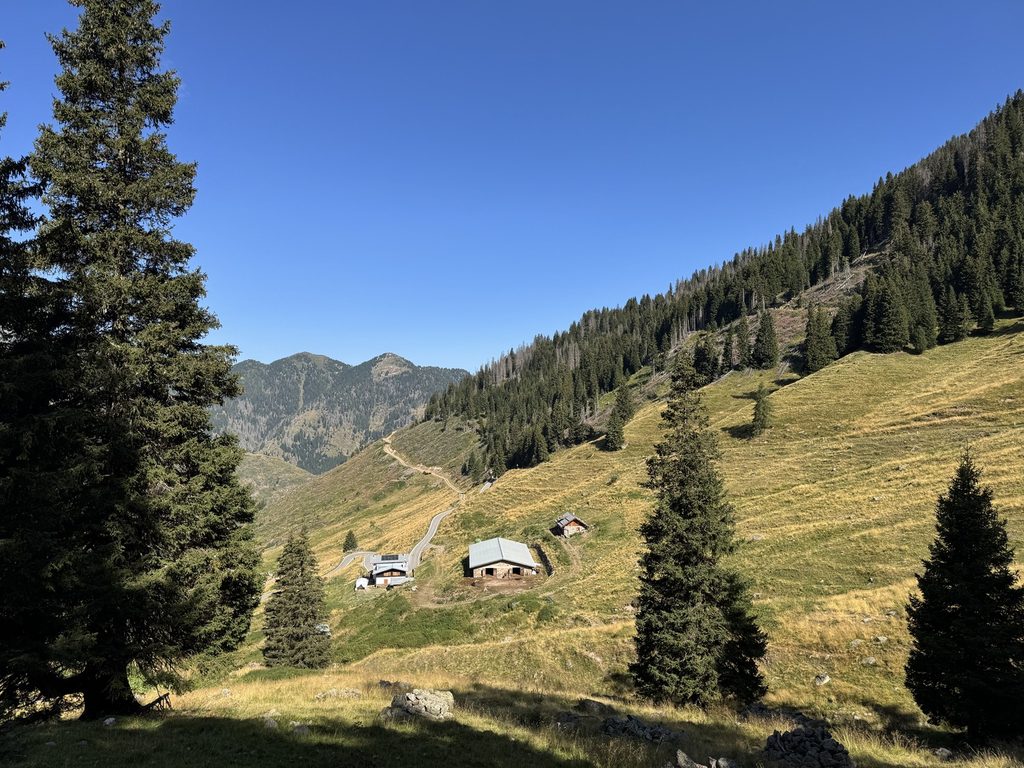 Passo Manghen - sentiero n. 310B verso Malga Cadinello.