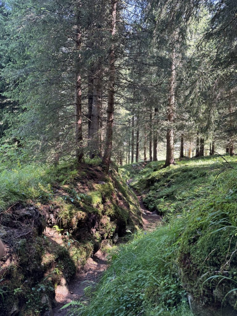 Fango - Campo trincerato A - trincee.
