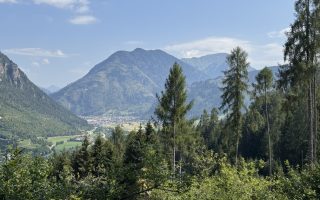 Sentiero "Busa Prima" - veduta su Predazzo.