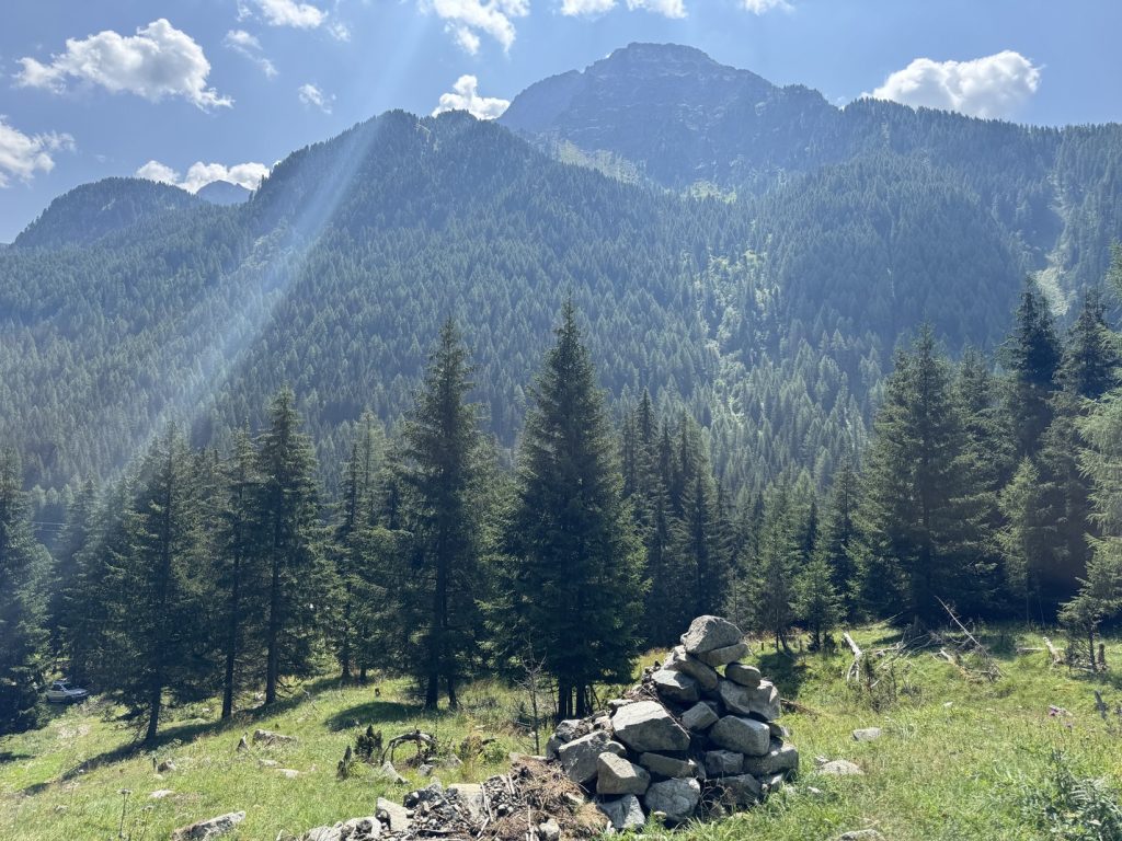 Fango - Campo trincerato B - trincee e veduta verso le cime di Juribrutto, Cima Bocche e Gronton.