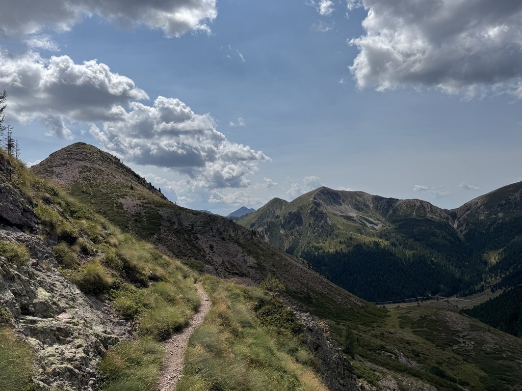 Sentiero n. 310 - da Passo Cadin a Passo Manghen - tratto lungo Cima Bolenga.