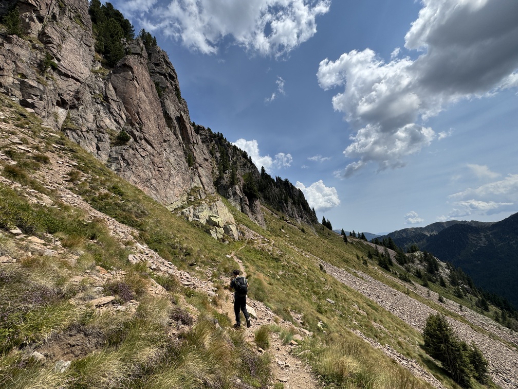 Sentiero n. 310 - da Passo Cadin a Passo Manghen - tratto lungo Cima Bolenga.