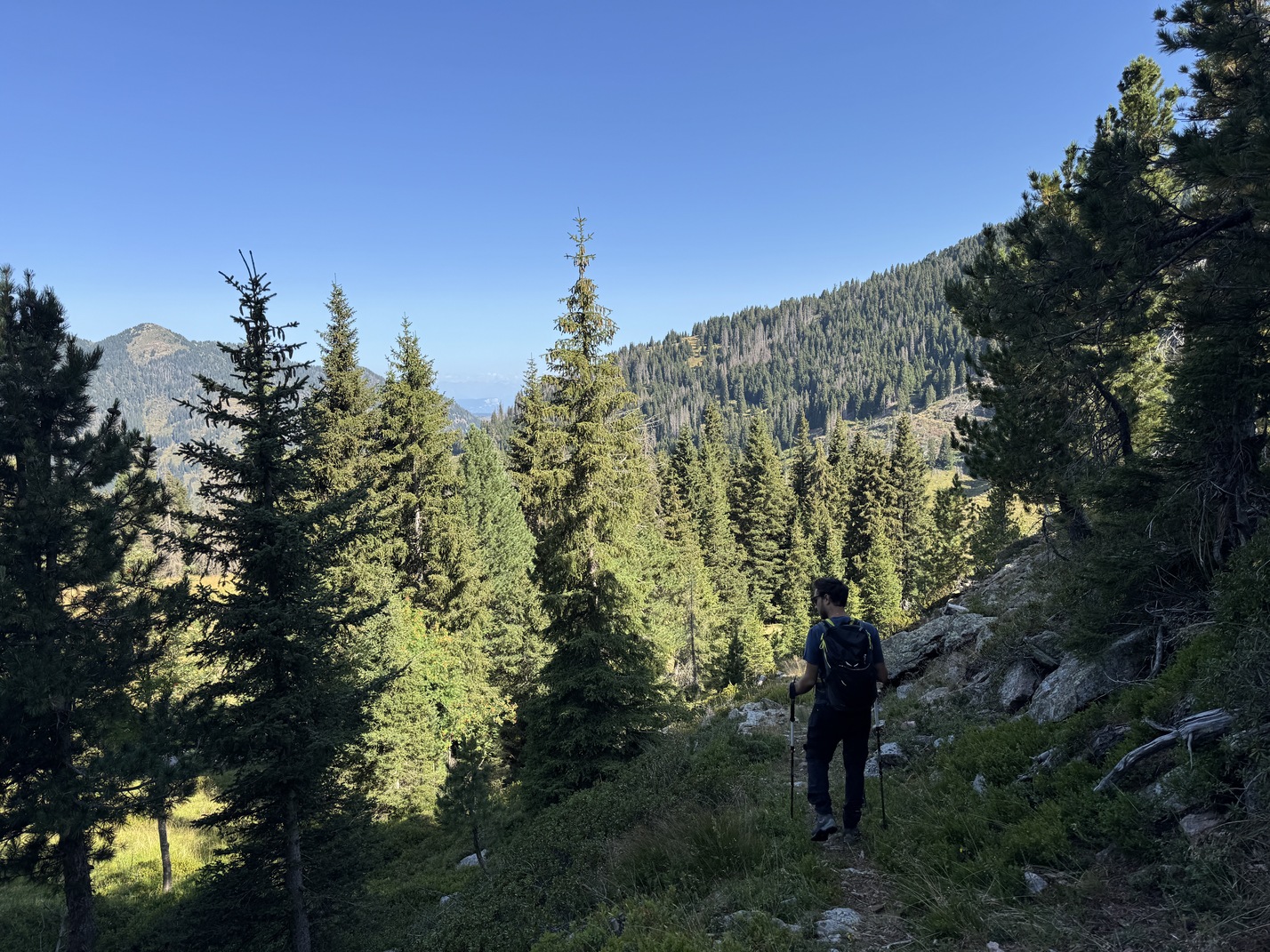 Passo Manghen - sentiero n. 310B verso Malga Cadinello.
