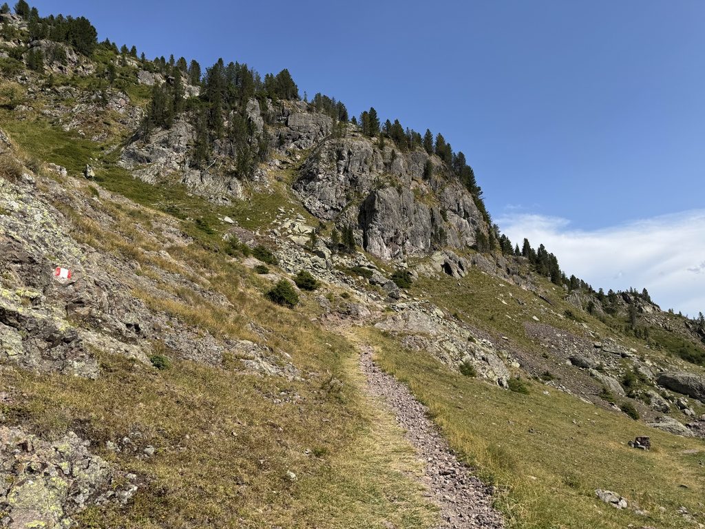 Sentiero n. 310 - da Passo Mangheneto a Passo Manghen.