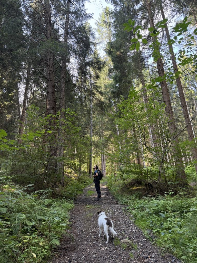 Sentiero "Busa Prima" - salita nel bosco.
